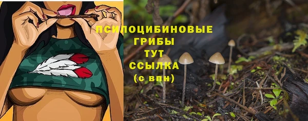 бошки Новокубанск