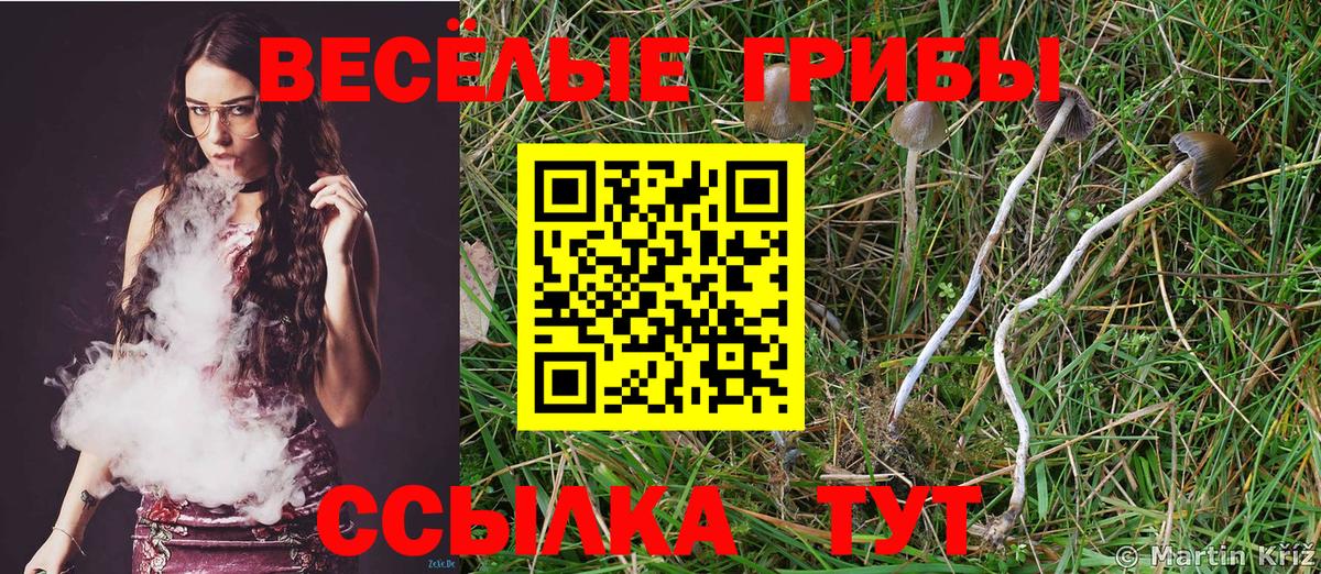 Галлюциногенные грибы прущие грибы Унеча