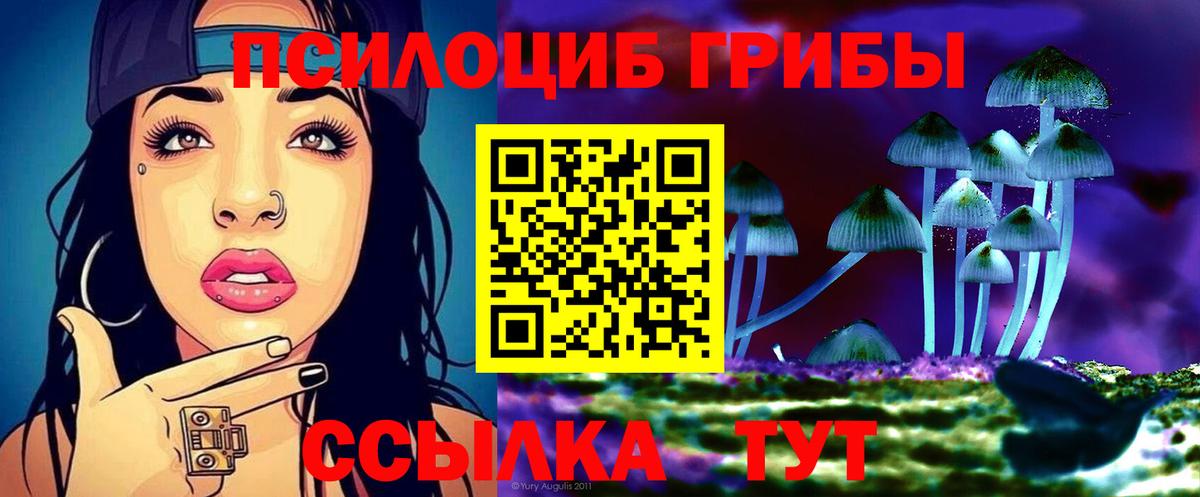 Унеча  Галлюциногенные грибы мицелий  Вход с VPN 
