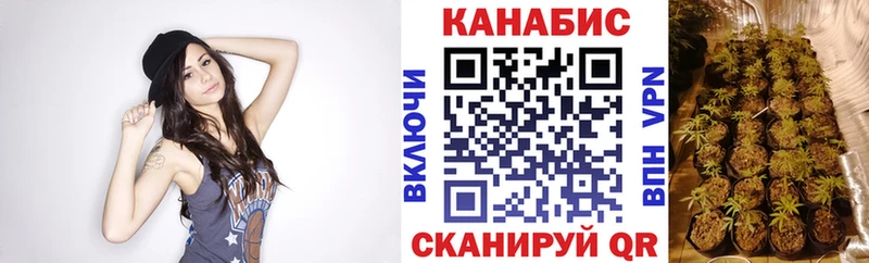 Каннабис SATIVA & INDICA  Унеча 